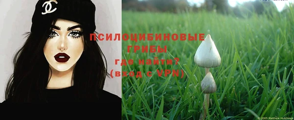 PSILOCYBIN Балахна