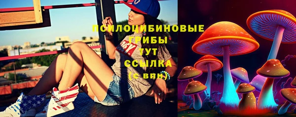 стаф Балабаново
