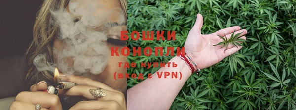 PSILOCYBIN Балахна