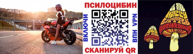 Псилоцибиновые грибы Cubensis  гидра ТОР  Красный Холм  наркошоп 